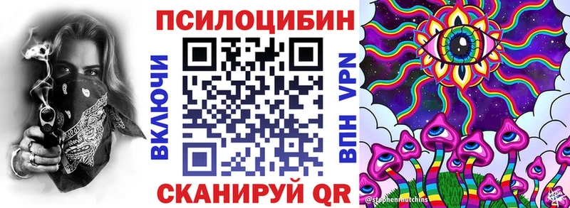 Псилоцибиновые грибы Psilocybe  купить закладку  Барыш 